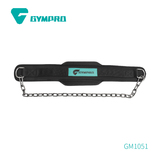 DIP BELT