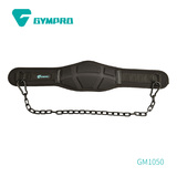DIP BELT