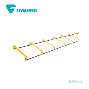 2 in 1 AGILITY LADDER